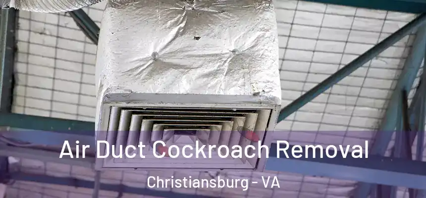 Air Duct Cockroach Removal Christiansburg - VA