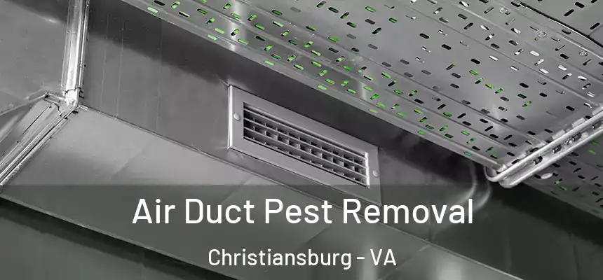  Air Duct Pest Removal Christiansburg - VA