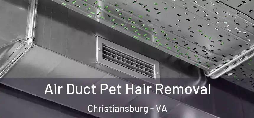  Air Duct Pet Hair Removal Christiansburg - VA