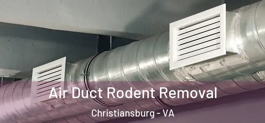 Air Duct Rodent Removal Christiansburg - VA