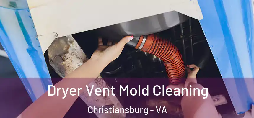  Dryer Vent Mold Cleaning Christiansburg - VA