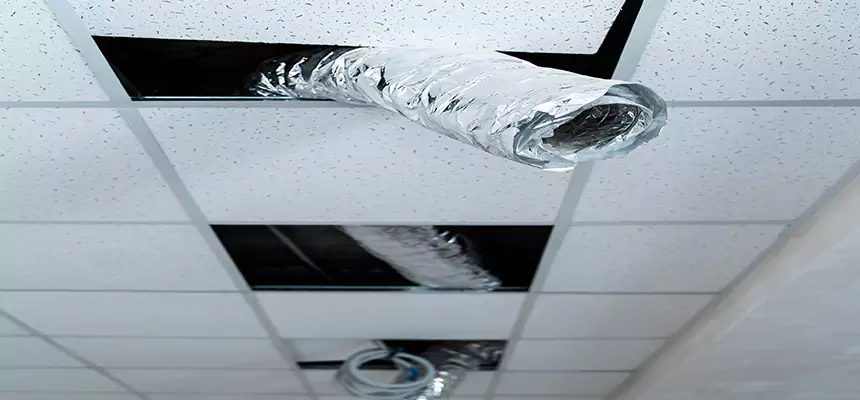 Our Air Duct Pet Hair Removal Services in Christiansburg, VA