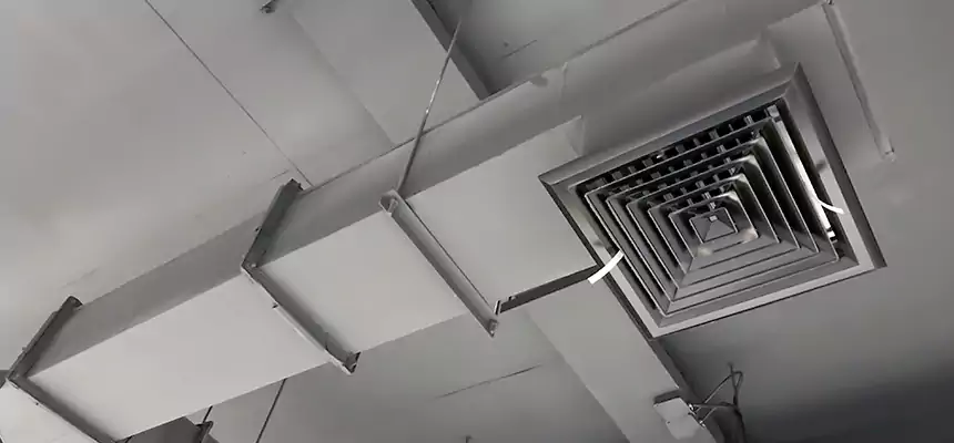 Our Rodent Droppings In Vents Services in Christiansburg, VA