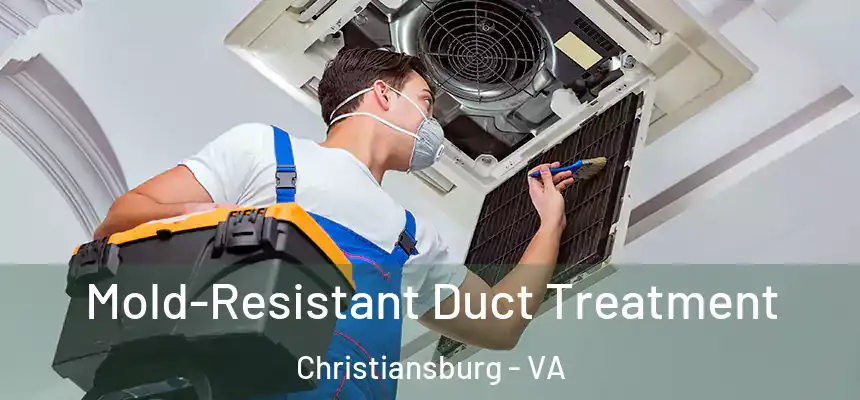  Mold-Resistant Duct Treatment Christiansburg - VA