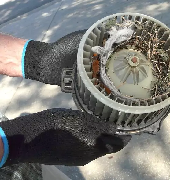 About Air Duct Rat Removal in Christiansburg, VA