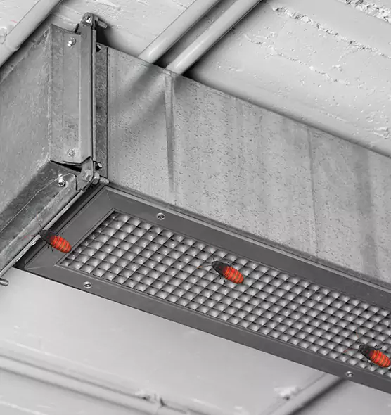 Affordable Insect Removal from Air Ducts in Christiansburg, VA