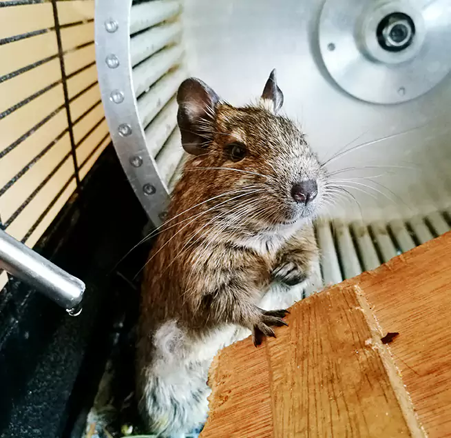 Why Homeowners & Businesses Trust Us Christiansburg, VA