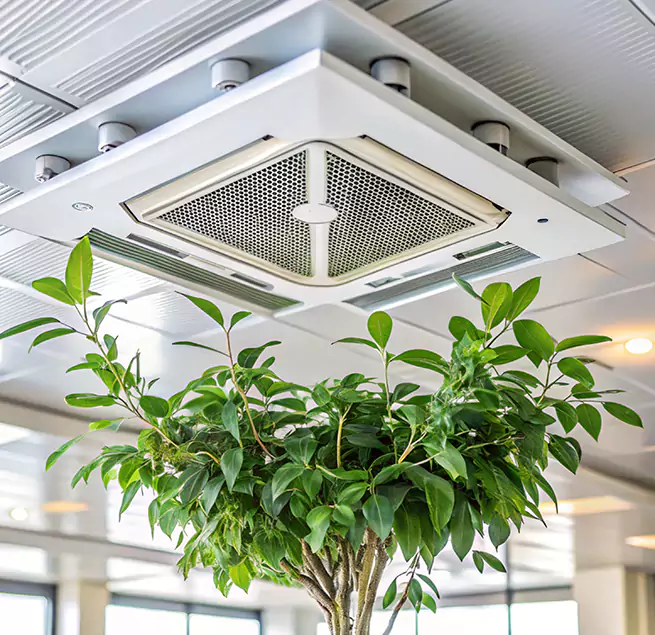 Why Homeowners & Businesses Trust Us in Christiansburg, VA?